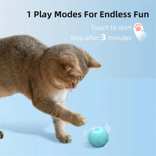 Powerball Interactive Cat Toy - AAD Trade